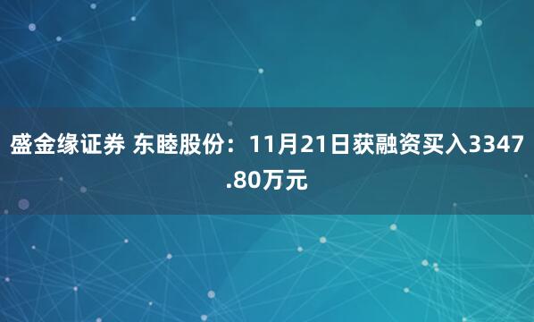 盛金缘证券 东睦股份：11月21日获融资买入3347.80万元