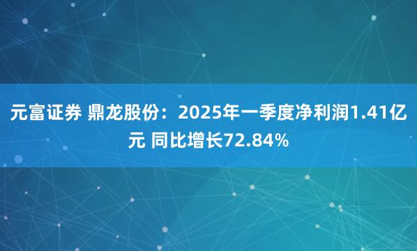 元富证券 鼎龙股份：2025年一季度净利润1.41亿元 同比增长72.84%