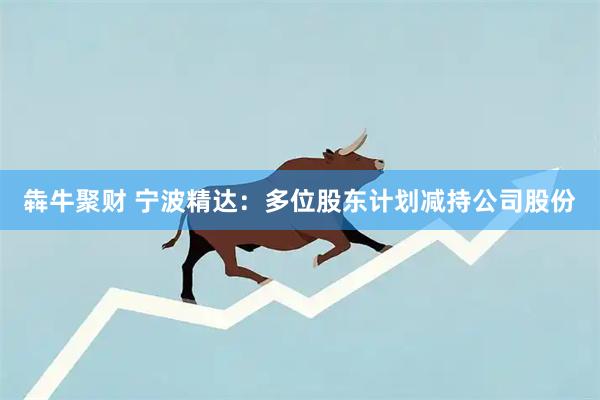 犇牛聚财 宁波精达：多位股东计划减持公司股份