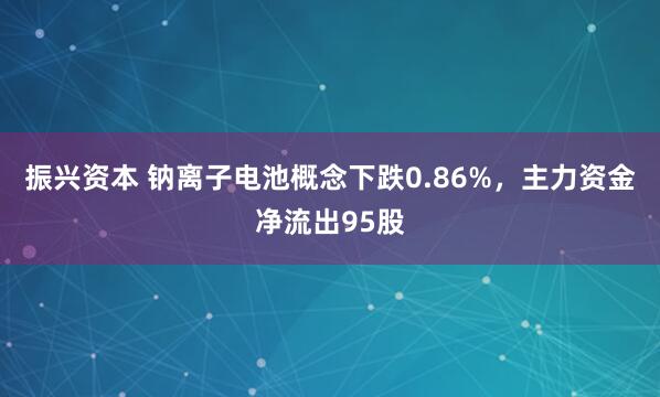 振兴资本 钠离子电池概念下跌0.86%，主力资金净流出95股