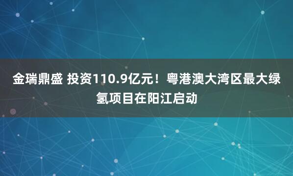 金瑞鼎盛 投资110.9亿元！粤港澳大湾区最大绿氢项目在阳江启动